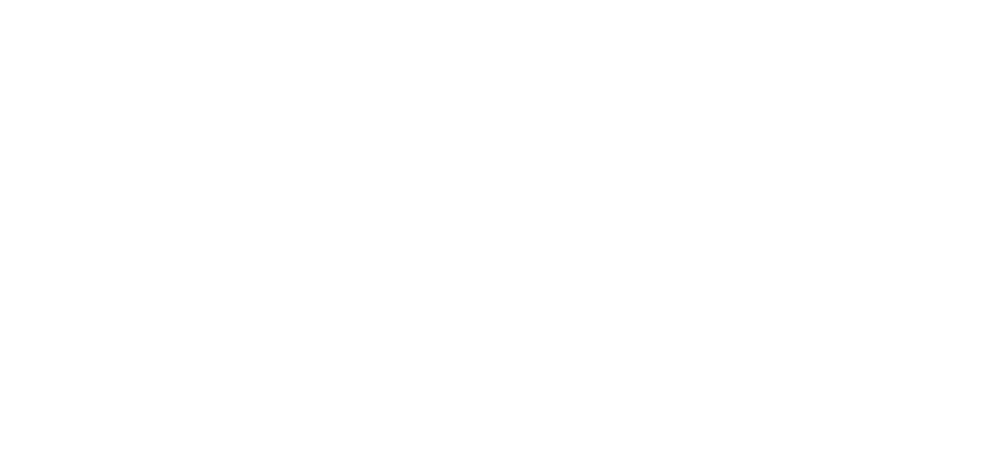 High-end Automotive Testing